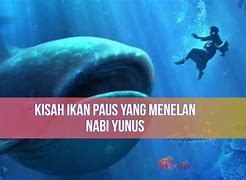 Ikan Paus Makan Apa